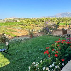 Cretan Culinary Mastery & Estate Tasting