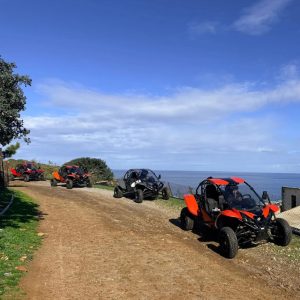 Crete Ruggy Buggy Expedition & Traditional Olive Mill