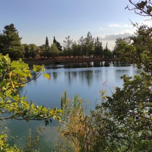 Rouvas Gorge & Zaros Lake Trekking Adventure from Heraklion | The Audio-Narrative Rock Edition