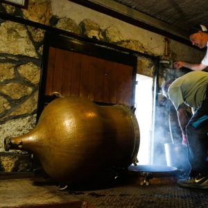 Crete Flavors Exploration: Wines, Olive Oil & Raki | The Storyteller’s Edition