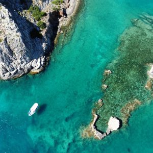 Marine Fishing & Swimming Cruise | Digital Companion & Audio-Narrative Edition